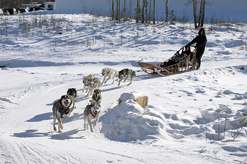 Pick Your Adventure Day