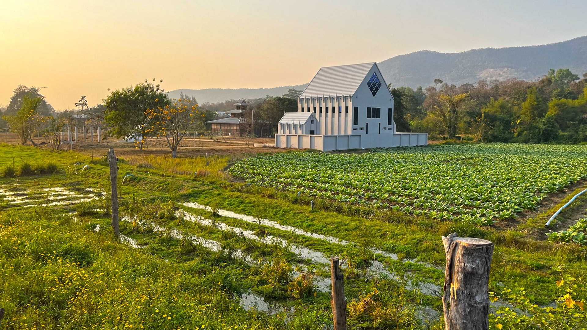 A photograph showing the Amazing Thailand Experience