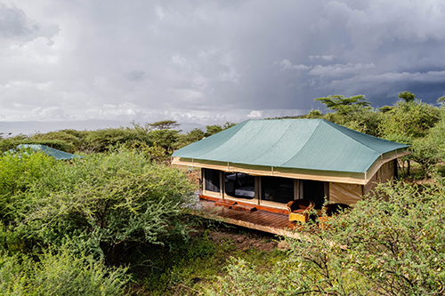 Property Inspections