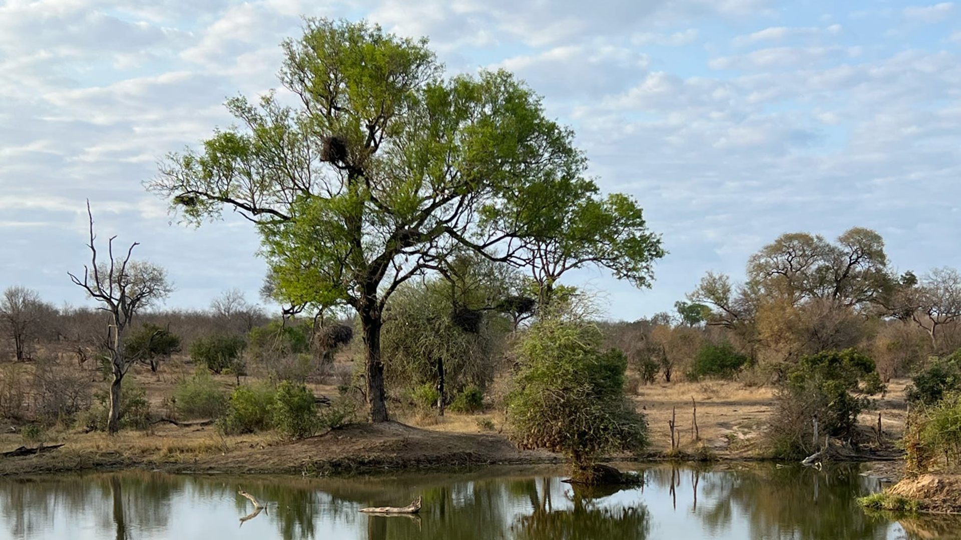 A photograph showing the Amazing Ntaba Experience