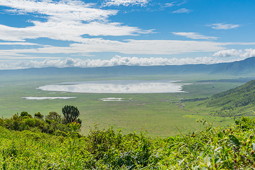 Crater Adventure
