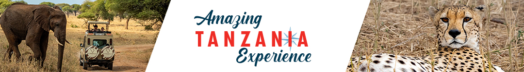 ADE Tanzania Logo Image Bar